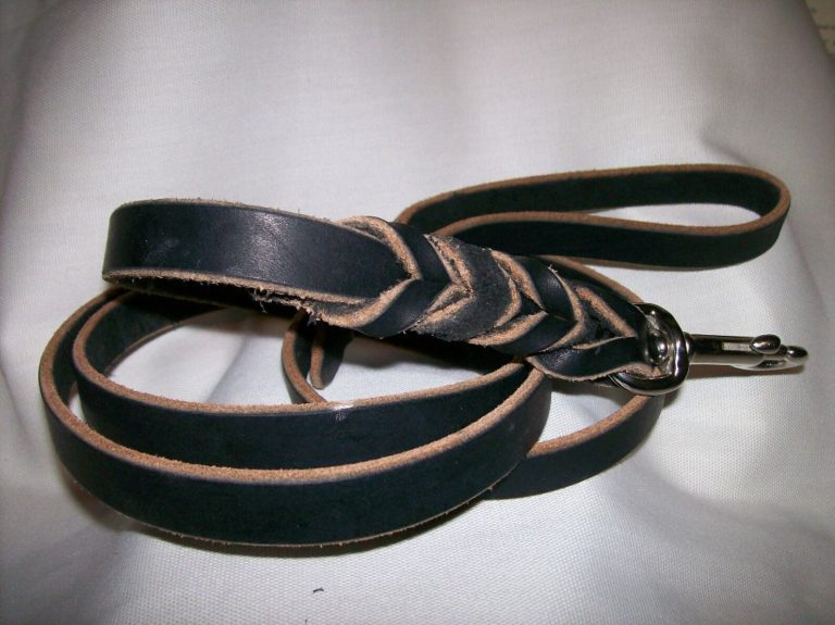 4 Foot Leather Leash