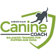 American Canine Coach